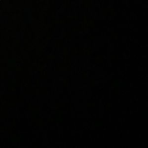 Meet your Posher, Zoe